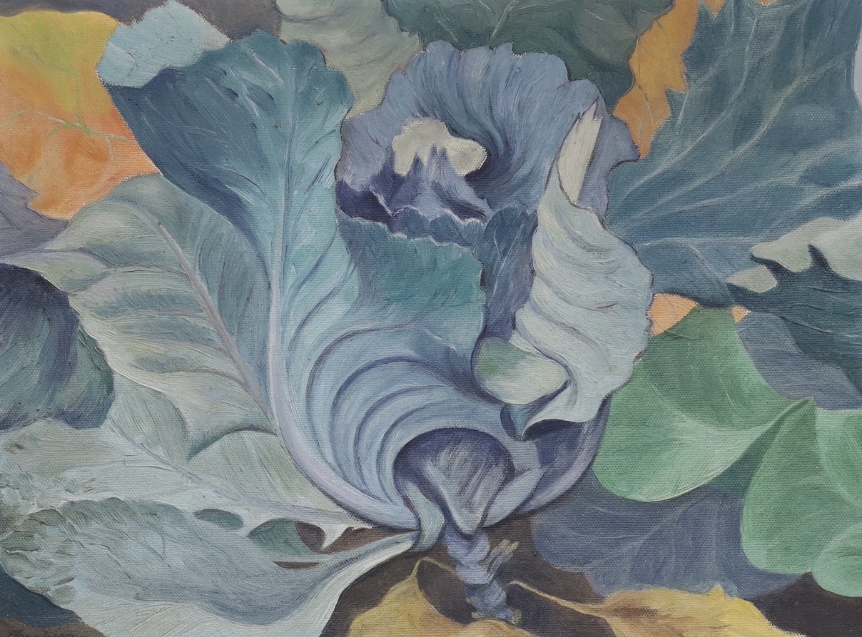 Chamberlain (Modern British), oil on board, ‘Cabbage 1954’, signed, 30 x 40cm